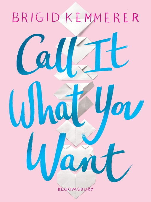 Title details for Call It What You Want by Brigid Kemmerer - Wait list